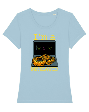 I'm A Python Developer Sky Blue