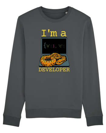 I'm A Python Developer Anthracite