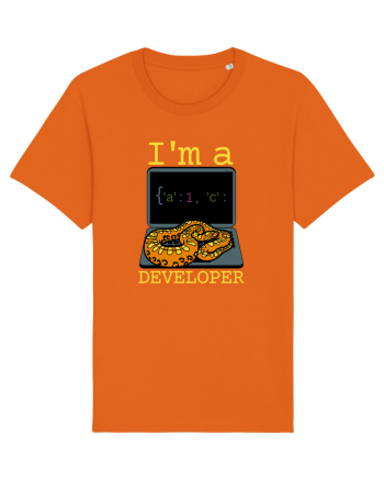 I'm A Python Developer Bright Orange