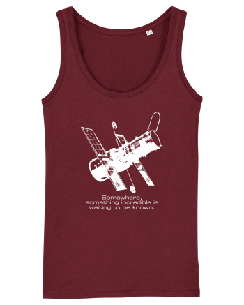 Hubble Telescope Burgundy
