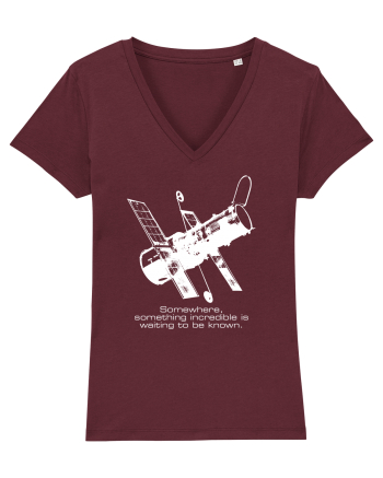 Hubble Telescope Burgundy