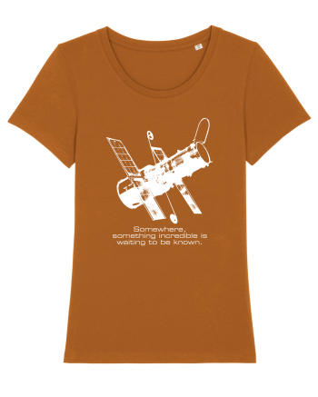 Hubble Telescope Roasted Orange