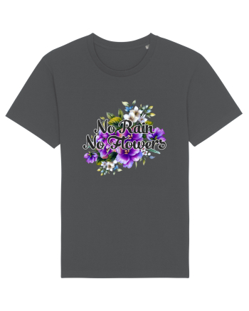 No Rain No Flowers Anthracite
