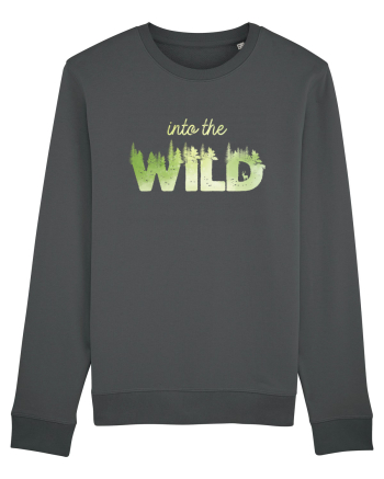 Into the wild Anthracite