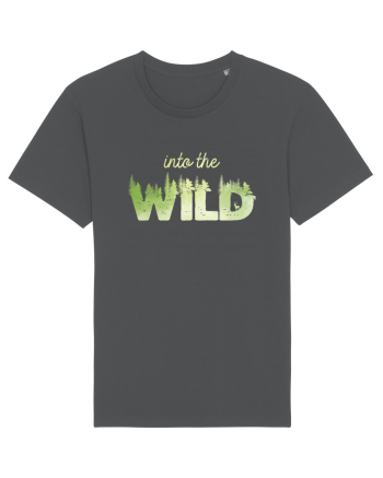 Into the wild Anthracite