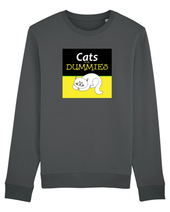 Cats for Dummies Anthracite