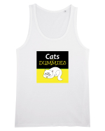 Cats for Dummies Maiou Bărbat Runs