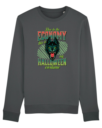 Costum de Halloween - Lup turbat Anthracite