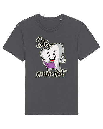 Stu-dinte eminent Anthracite