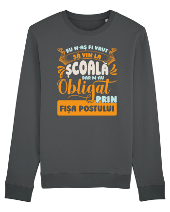 N-aș fi vrut să vin la școală Anthracite