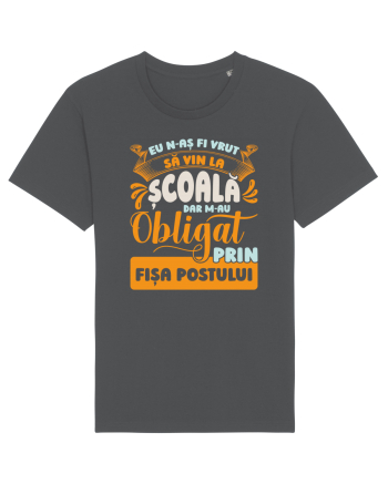 N-aș fi vrut să vin la școală Anthracite