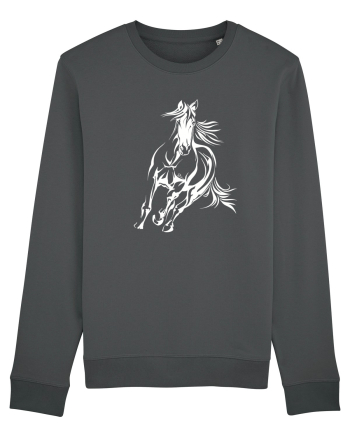 Horse whisperer Anthracite
