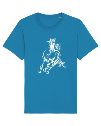 Horse whisperer Azur