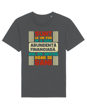 Abundență financiară V2 Anthracite