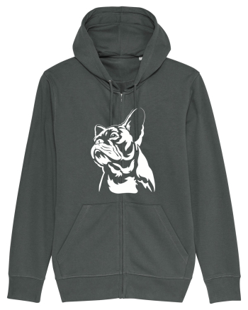 French bulldog Anthracite