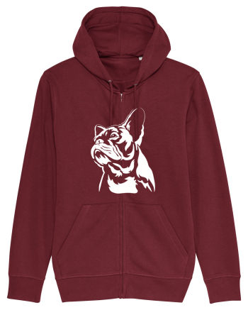 French bulldog Burgundy