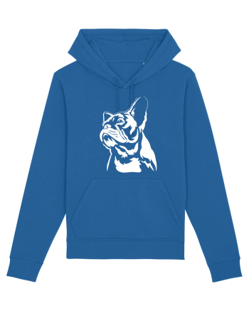 French bulldog Royal Blue