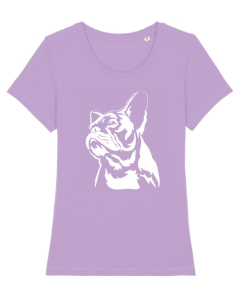 French bulldog Lavender Dawn