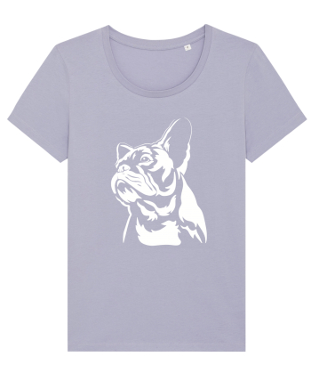 French bulldog Lavender