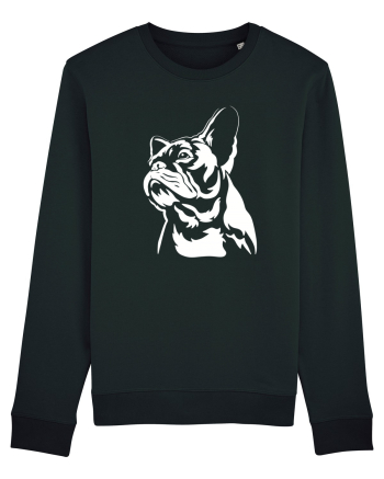 French bulldog Black