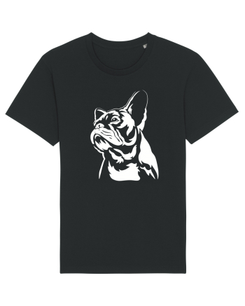 French bulldog Black