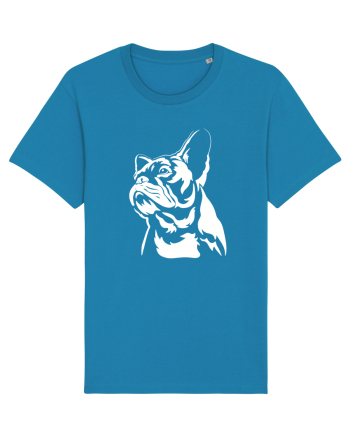 French bulldog Azur