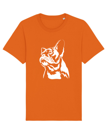 French bulldog Bright Orange