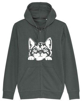Kitty Anthracite