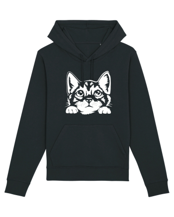 Kitty Black