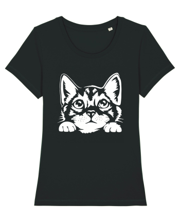 Kitty Black