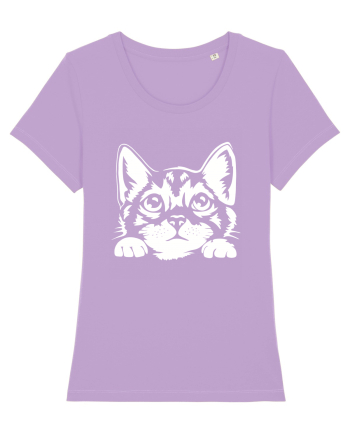 Kitty Lavender Dawn