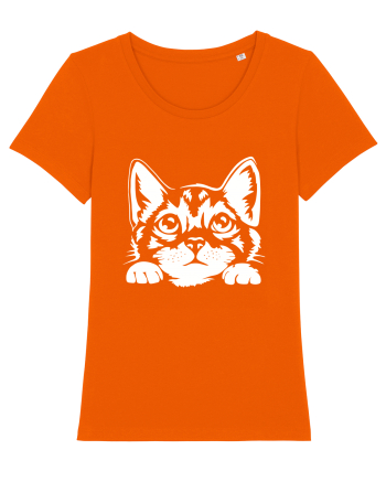 Kitty Bright Orange
