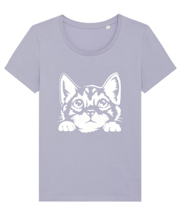 Kitty Lavender