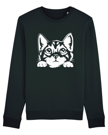 Kitty Black