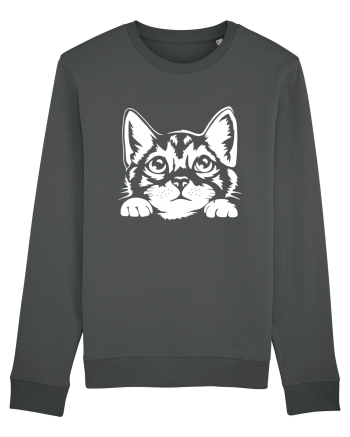 Kitty Anthracite