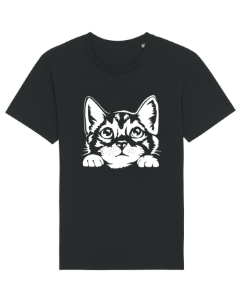 Kitty Black