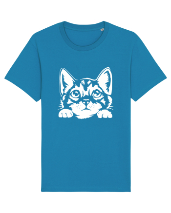 Kitty Azur