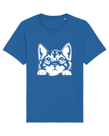 Kitty Royal Blue