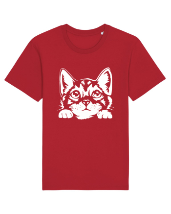 Kitty Red