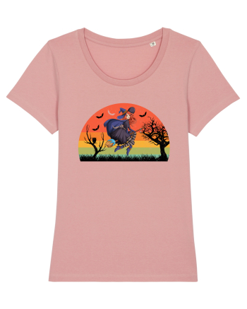 Sunset Broom Witch Canyon Pink