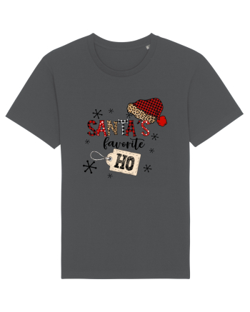 Santas's Favorite Ho Anthracite
