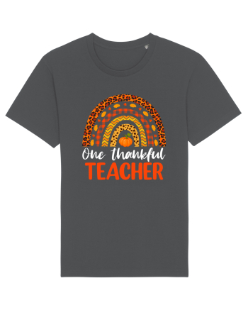 One thankful teacher Anthracite