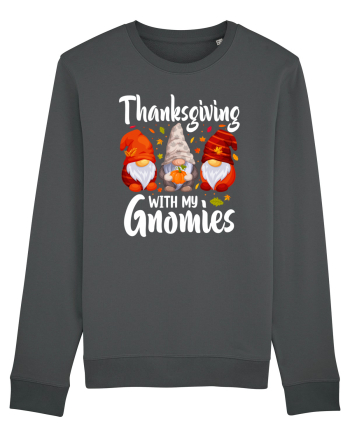 Thanksgiving with my gnomies Anthracite