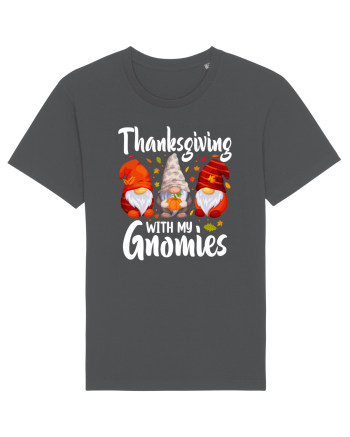 Thanksgiving with my gnomies Anthracite