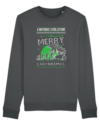 Merry Ladybikemas Evolution Anthracite