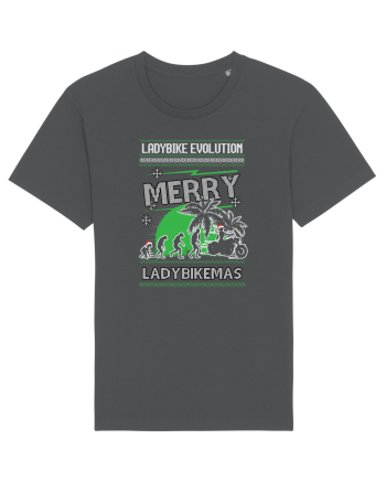 Merry Ladybikemas Evolution Anthracite