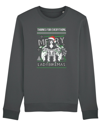 Merry Ladybikemas Anthracite