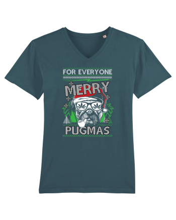 Merry Pugmas Stargazer