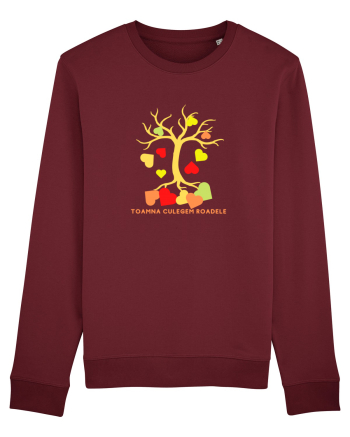 TOAMNA CULEGEM ROADELE Burgundy