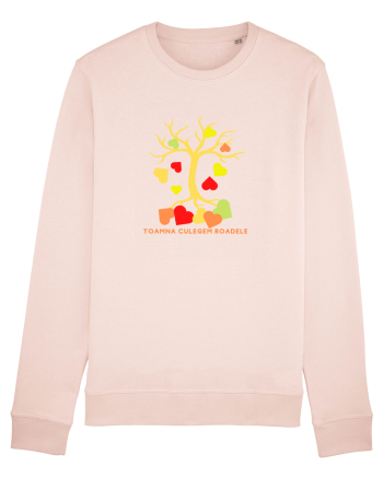 TOAMNA CULEGEM ROADELE Candy Pink